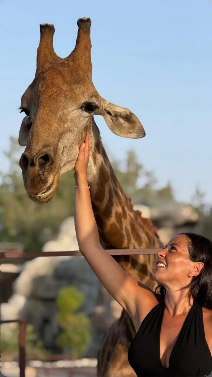 A visitor strokes a giraffe at Noor Jungle